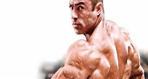 كيف تحصل على عضلات كبيرة؟